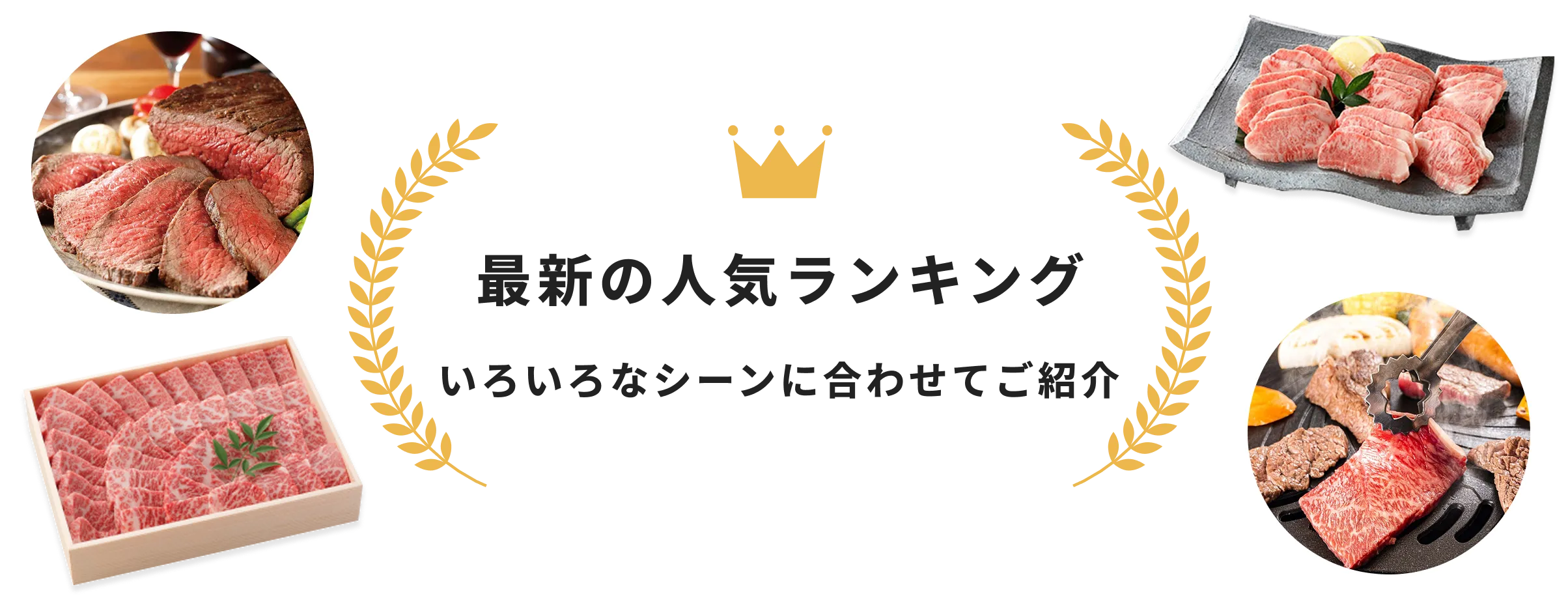 最新の人気ランキング