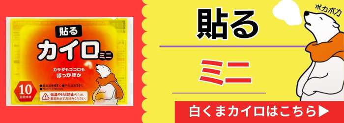 カイロ 貼れる アイリス 国産 使い捨てカイロ 貼るタイプ ミニサイズ