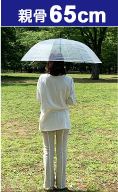�ƹ�65cm