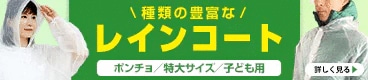 �쥤�󥳡���