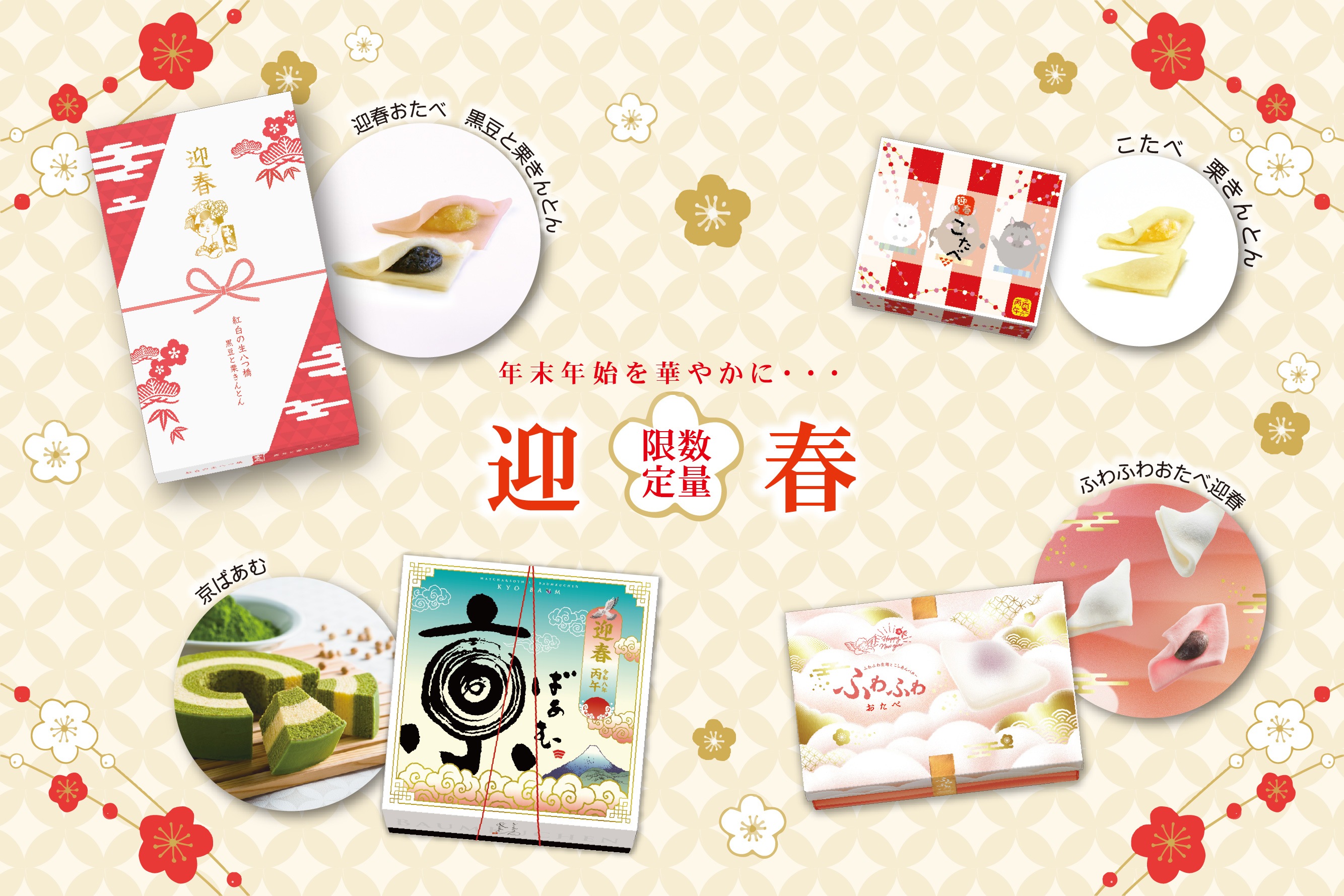 迎春商品2025-2026