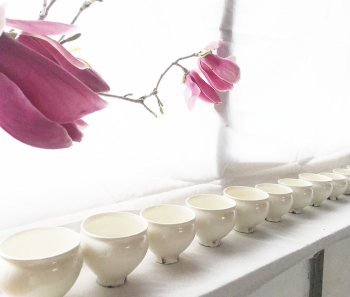 鈴木環] ピジョンカップ | すべての商品 | とんぱhanare 