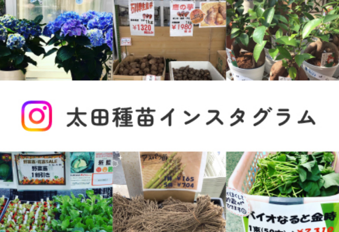 太田種苗インスタグラム