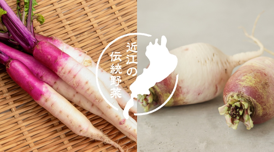 滋賀の野菜