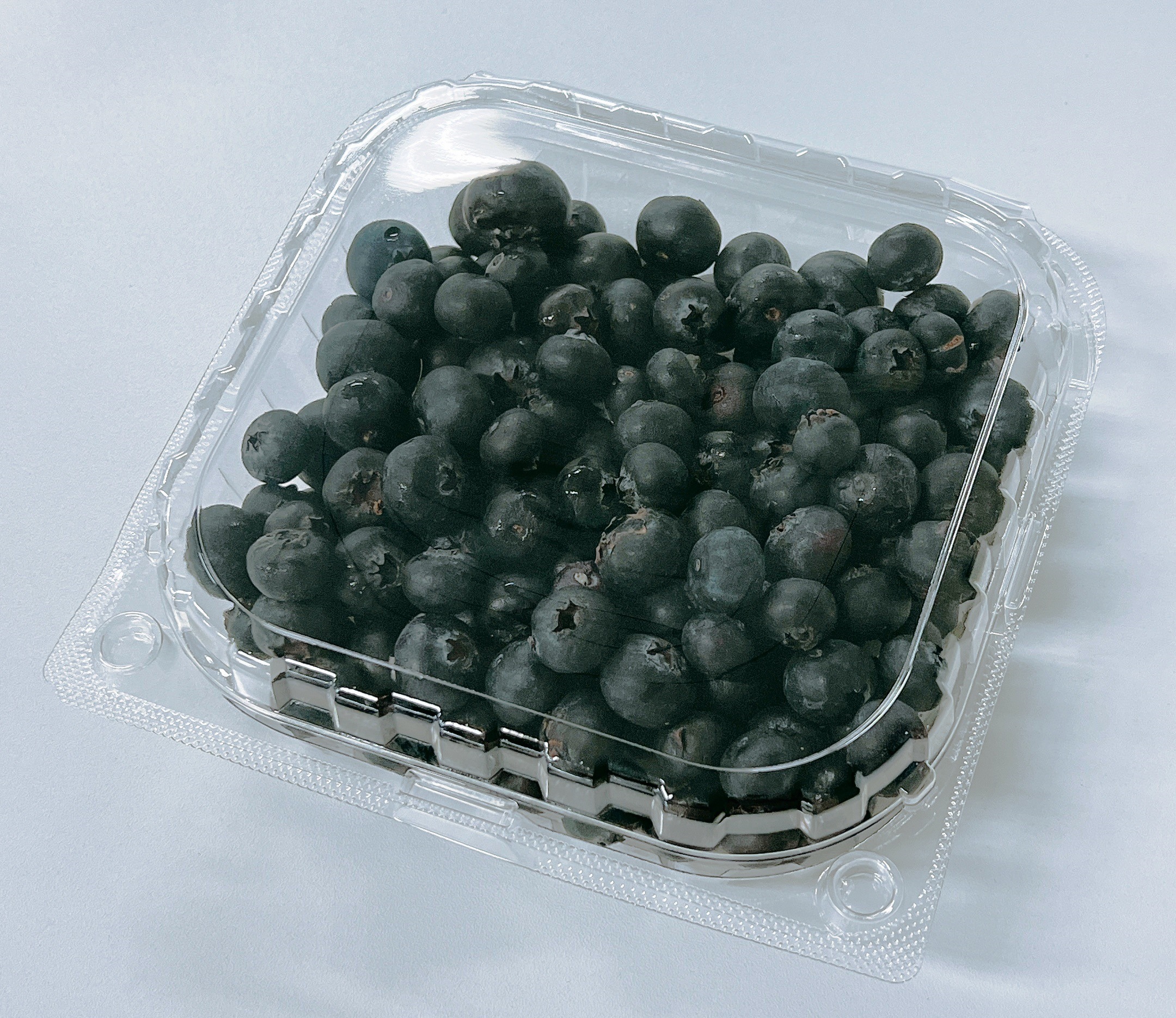 VFC-18（6×3） ブルーベリー果実500g相当｜オーシャン貿易