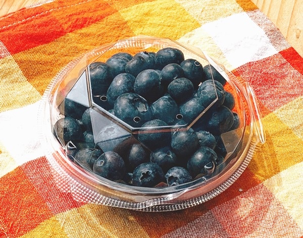 100ｇ用ダイヤカット型パック ブルーベリー資材の通販 オーシャン貿易