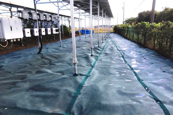 �������ɥ��꡼��240