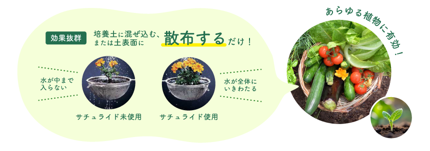 ������饤�ɤθ���