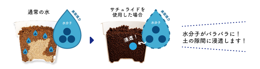 ������饤�ɤθ���