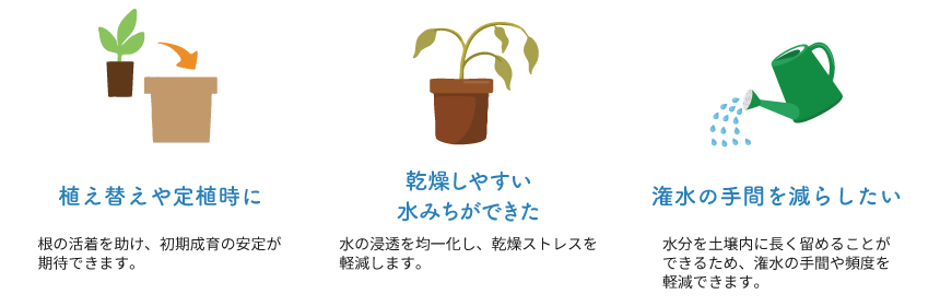 ������饤�ɤθ���