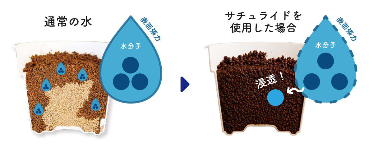 サチュライド150g粒状タイプ ブルーベリー資材の通販｜オーシャン貿易