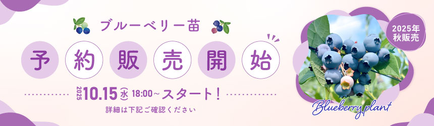 2025_blueberryplant_banner