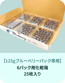 125g6�ѥå�����Ȣ