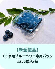 �ڿ��ⷿ�ʡ�100g�֥롼�٥꡼���ѥѥå�