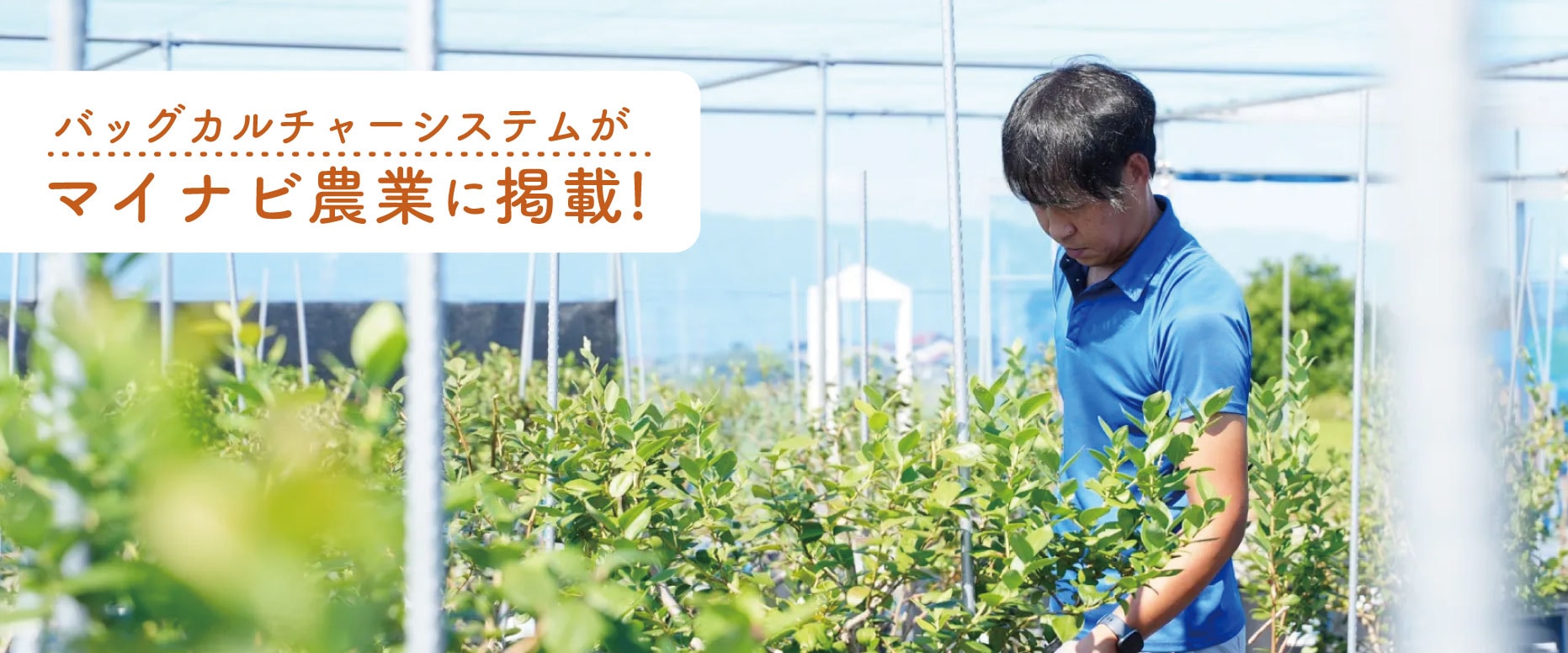 �ޥ��ʥ�����
