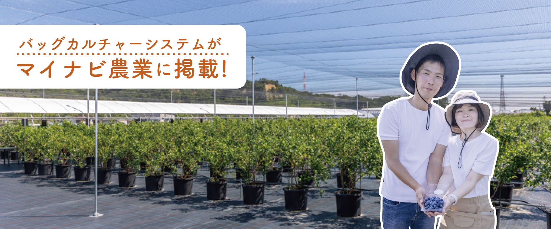�ޥ��ʥ�����