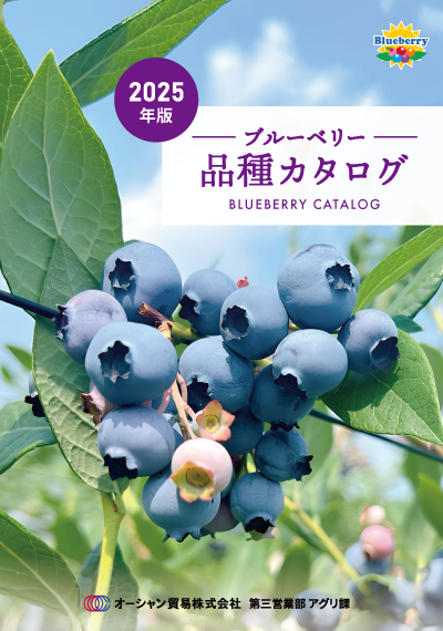 2025�ʼ參������