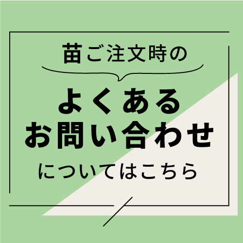 褯뤪䤤碌