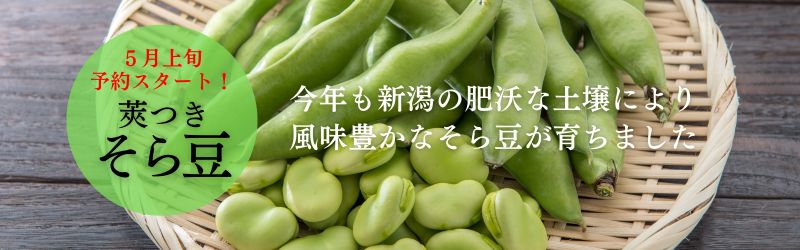 そら豆予約