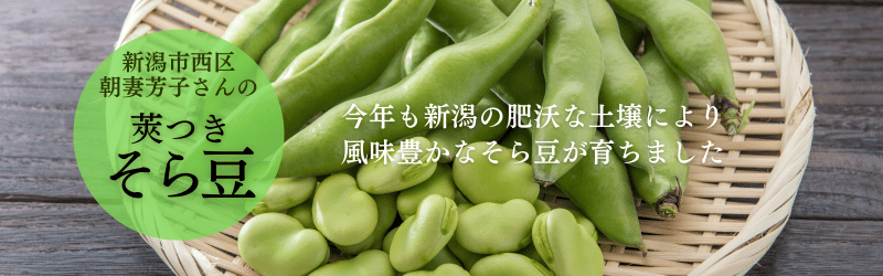 そら豆予約