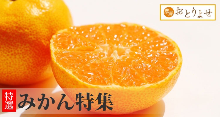お取り寄せ みかん 逸品おとりよせ 東急リゾーツ ステイ公式通販