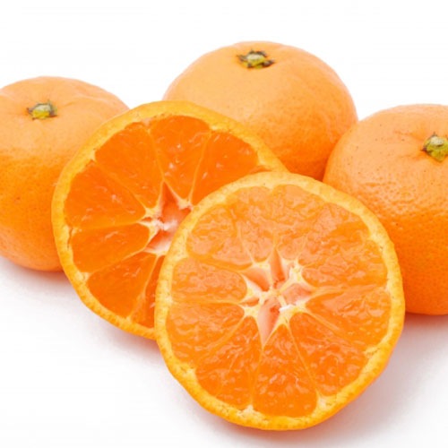 みか 楽天市場】セール【20%OFF】JUN MIKAMI ジュンミカミ コットン ハーフ