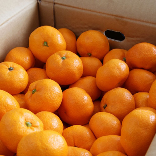 みかんちゃんセレクト KAWAGUCHI SEIKA CANDY MIKAN CHAN ORANGE – HANAMARU JAPANESE