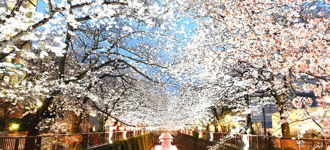 東京都目黒区のイメージ