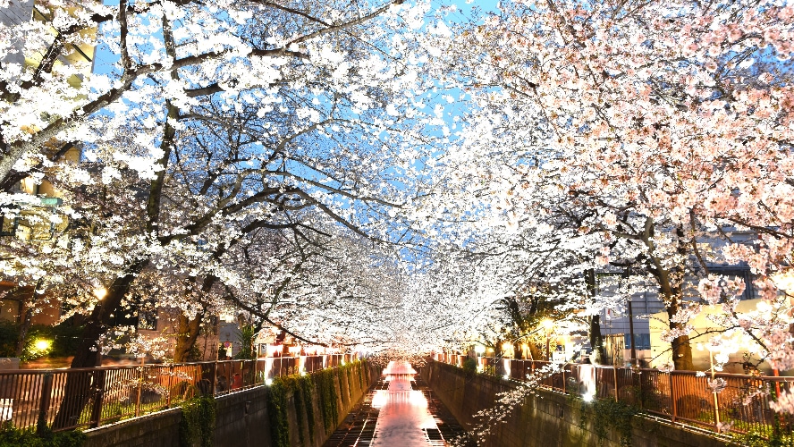 東京都目黒区のイメージ