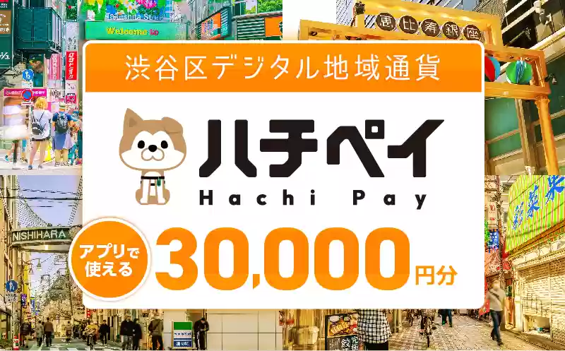 ハチペイ