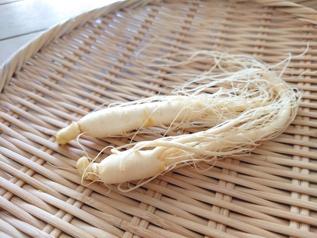 高麗人参の種類と特徴