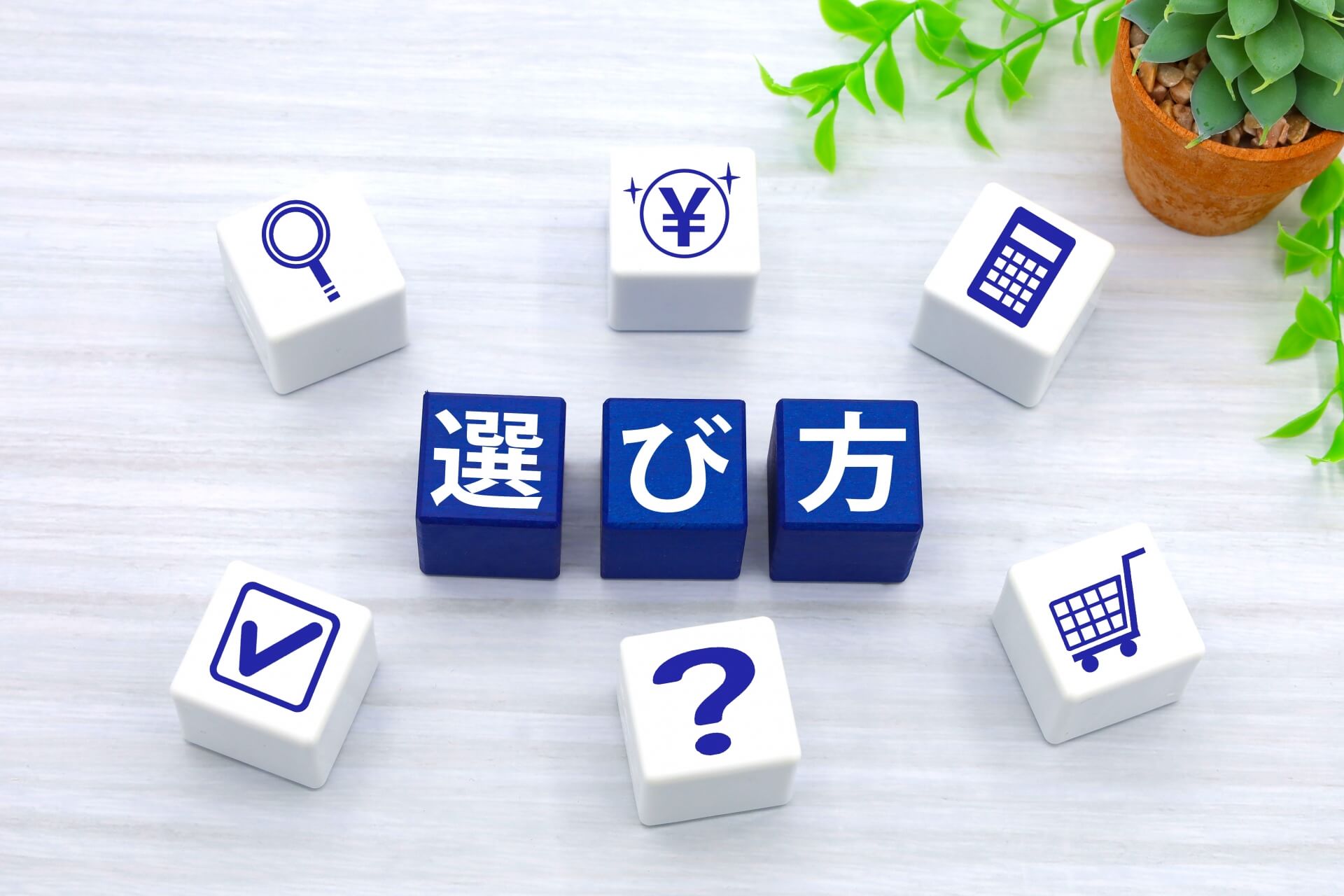 高麗人参製品の選び方のポイント