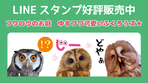 フクロウや鷹など猛禽類や爬虫類向けのエサ フクロウグッズ絶賛販売中