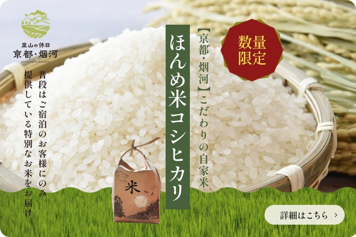 数量限定 ほんめ米コシヒカリ