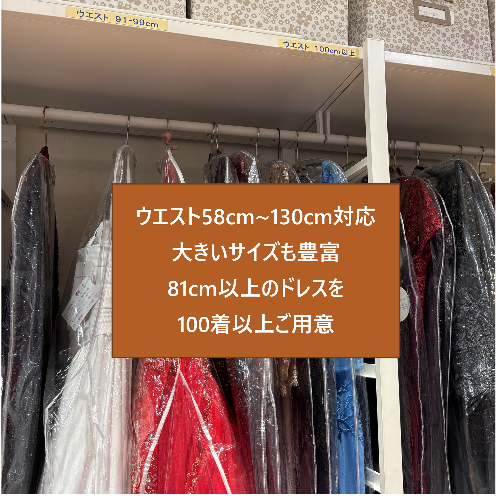 大きいサイズも豊富