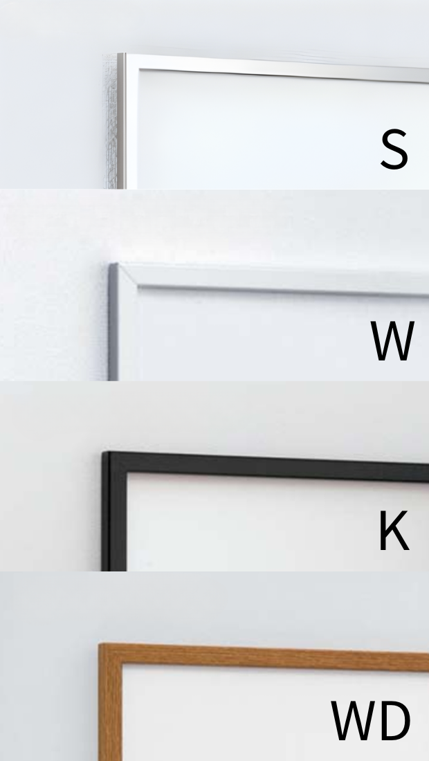 131のフレームカラー