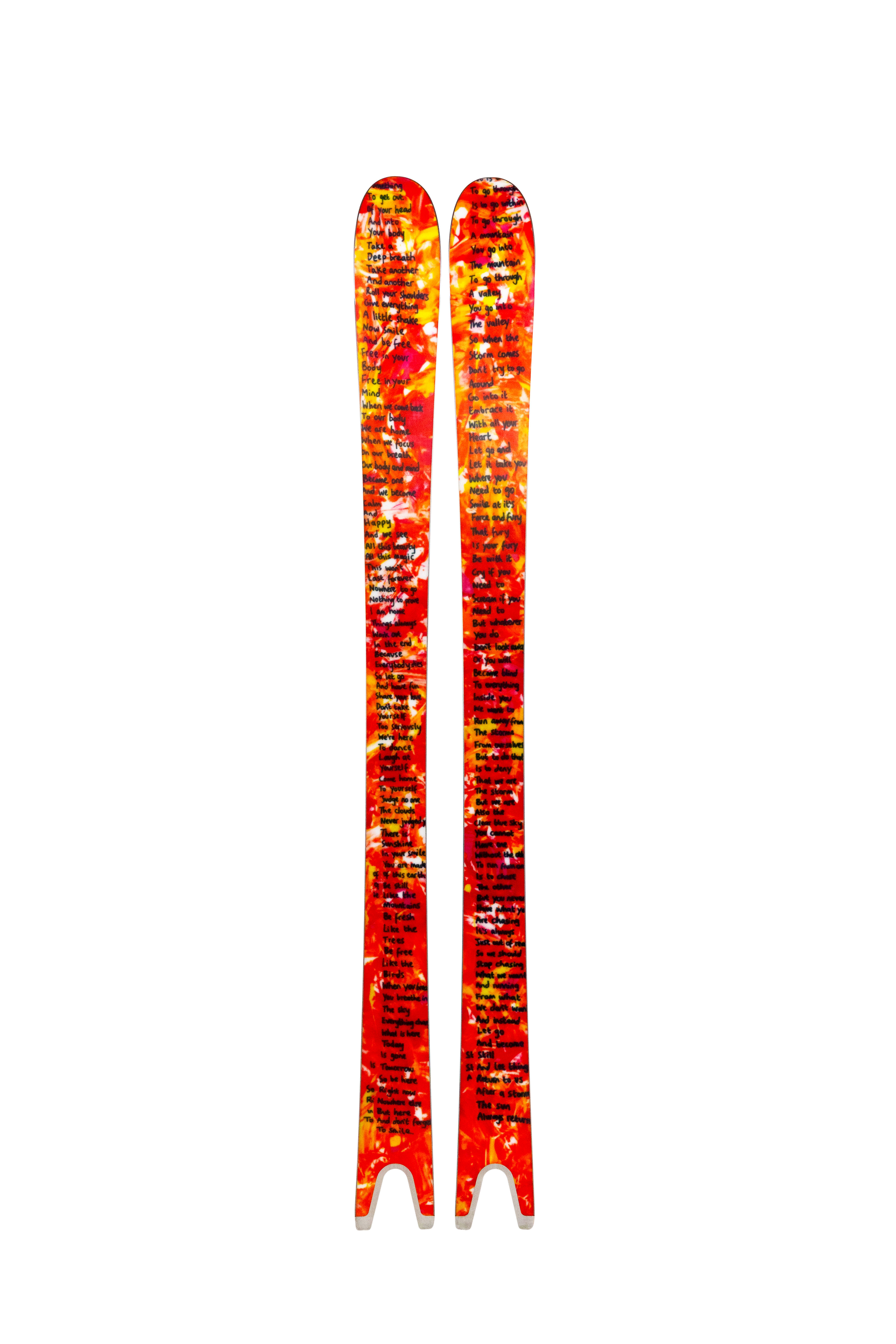 Dylan Siggers Sakana 裏面