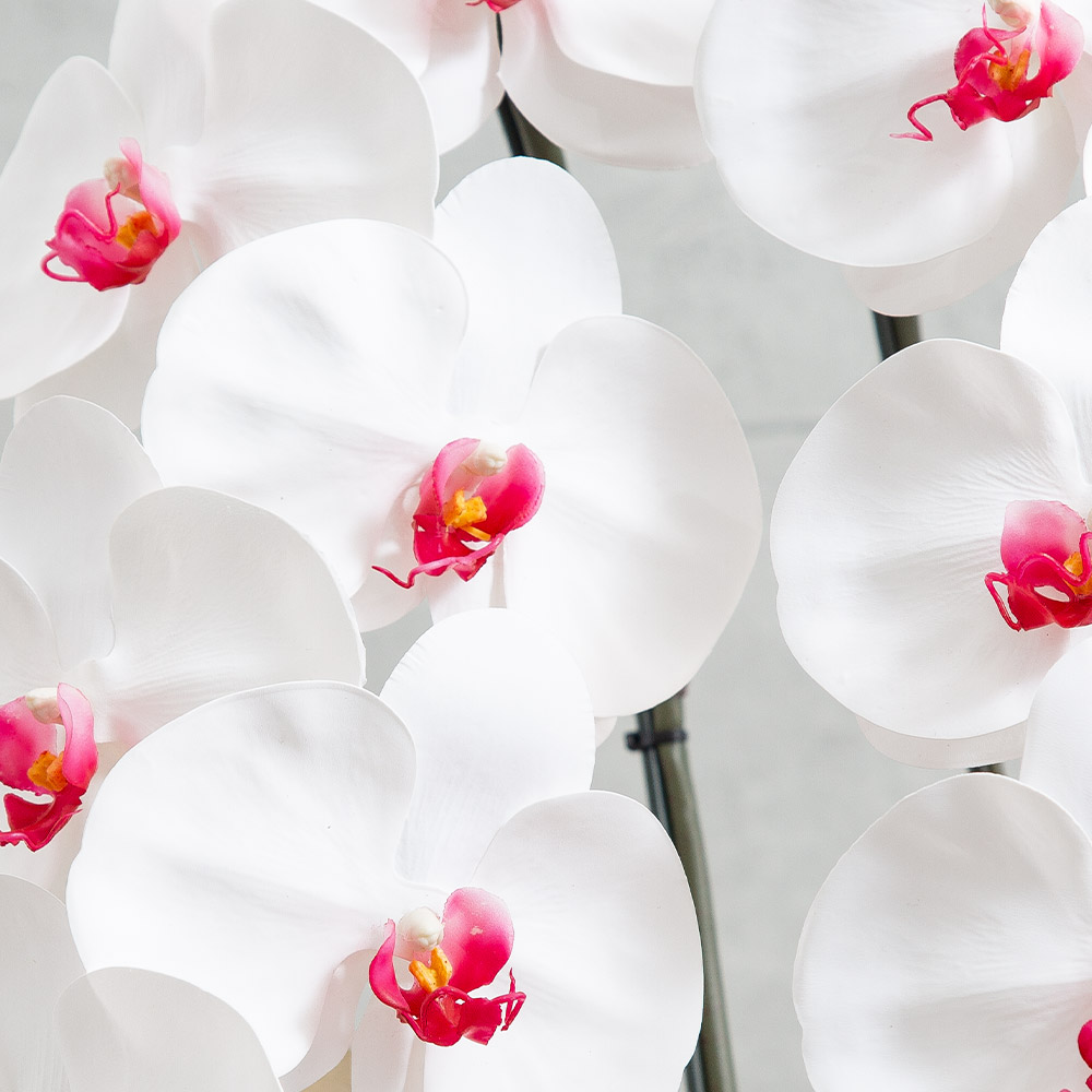 ✨横長アレンジ✨バラミックスアレンジ＆胡蝶蘭（アーティフィシャルフラワーアレンジ ✨横長アレンジ✨バラミックスアレンジ＆胡蝶蘭（アーティ