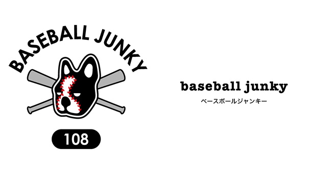 baseball junky