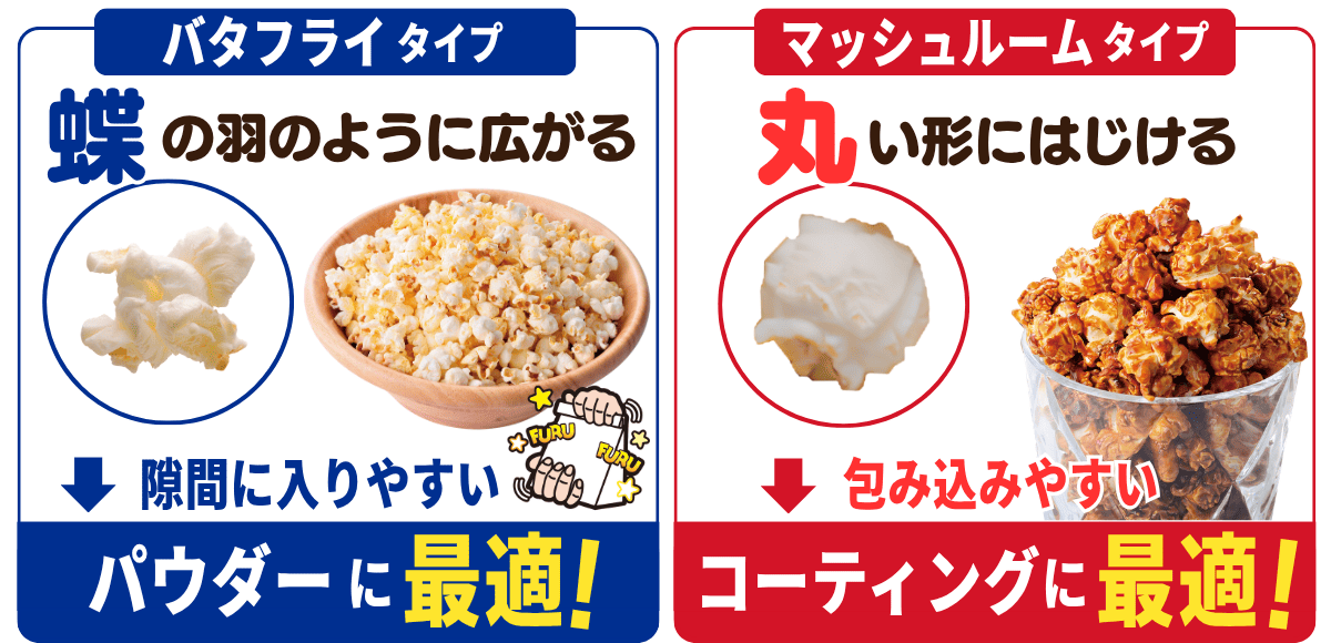 ポップコーン豆