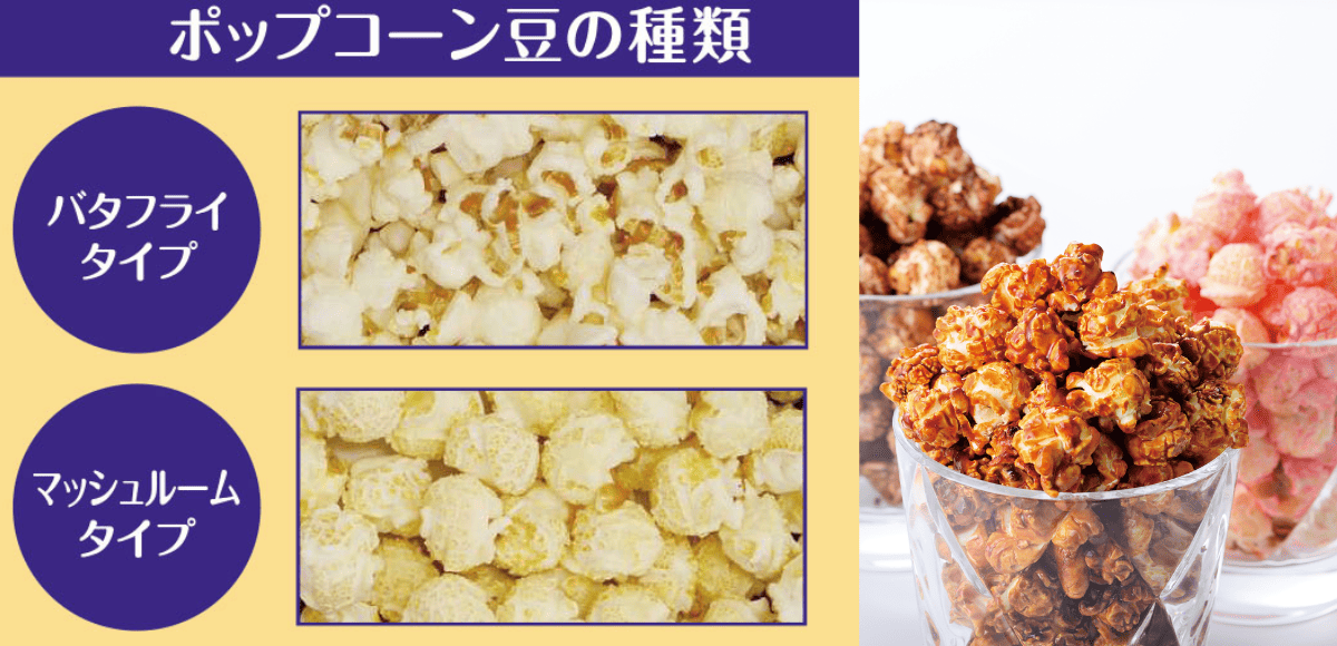 ポップコーン豆