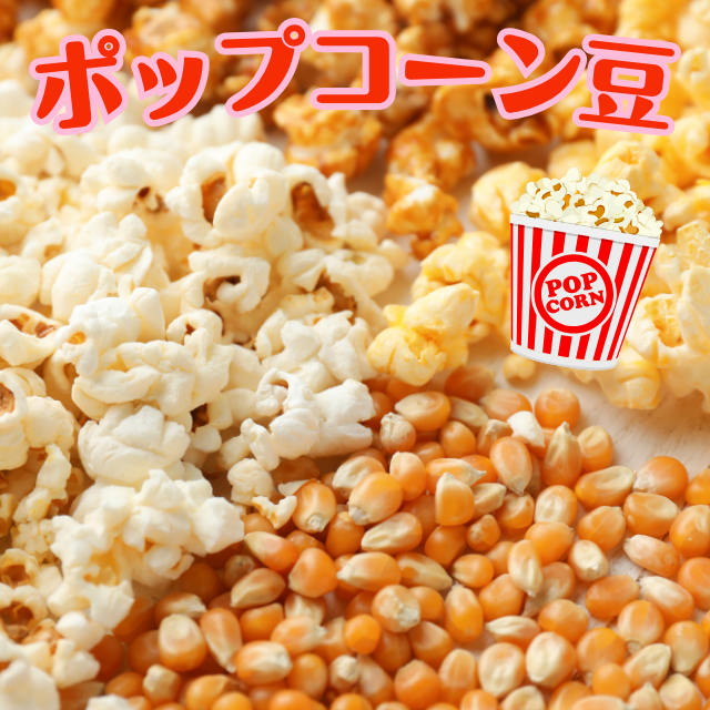 ポップコーン豆