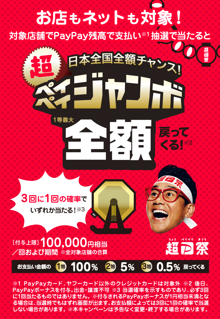 ペイペイジャンボ内容画像