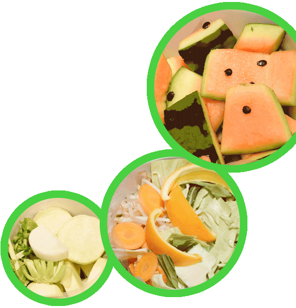 パリパリキューで乾燥していく様子