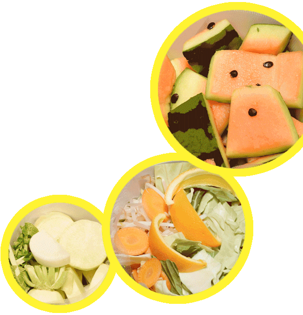 パリパリキューで乾燥していく様子