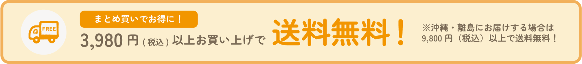 3,980円以上で送料無料