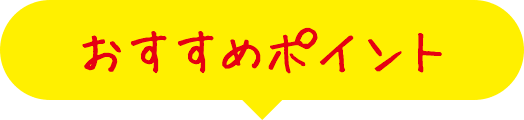 おすすめポイント