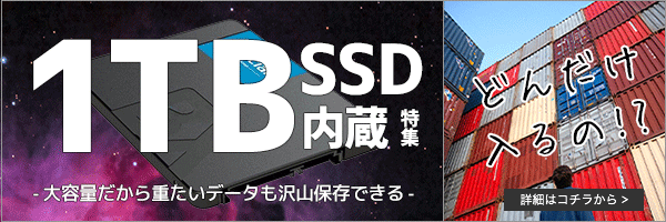 大容量SSD1TB