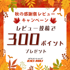 商品レビューを書いて300ポイントGET！秋の感謝祭レビューキャンペーン