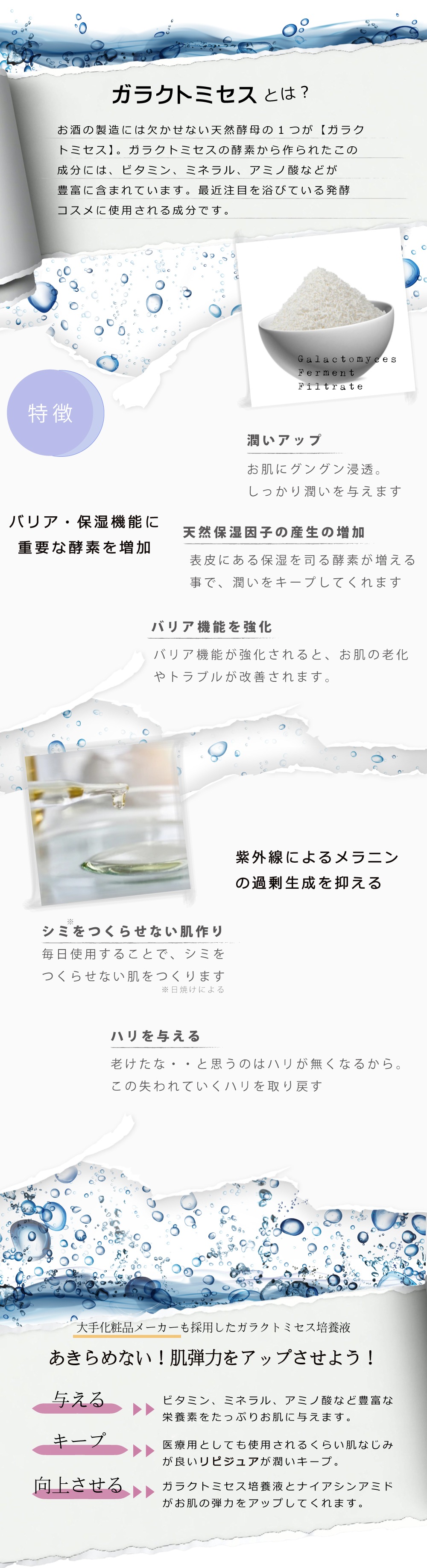 高濃度ガラクトミセス原液｜PEACH PIG
